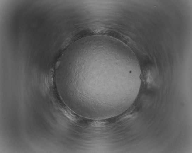 X0000074000664200608211415