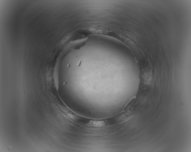X0000074000665200608211415