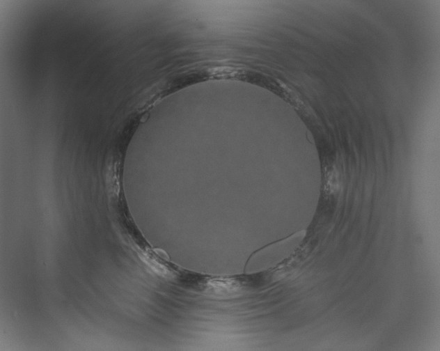 X0000074000666200608211415