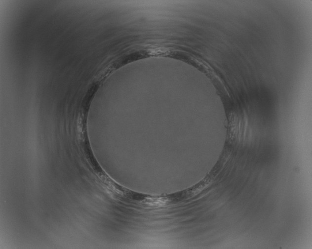 X0000074000667200608211415