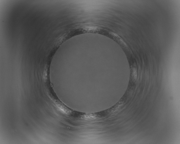 X0000074000668200608211415