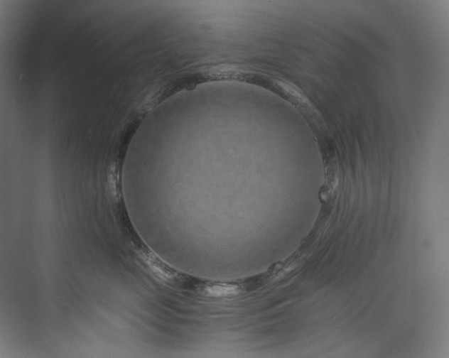 X0000074000669200608211415
