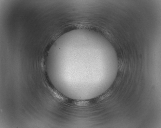 X0000074000670200608211415