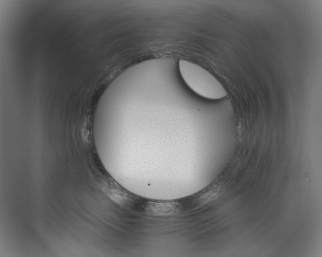 X0000074000671200608211415