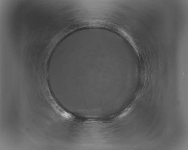 X0000074000673200608211414