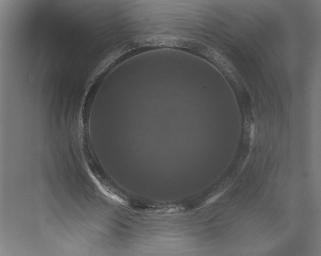 X0000074000674200608211414