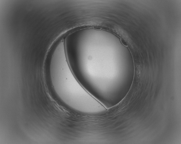 X0000074000676200608211414