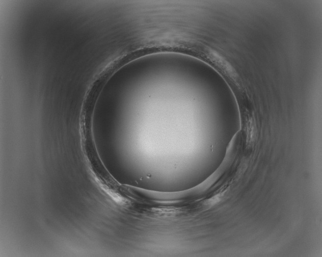 X0000074000680200608211414