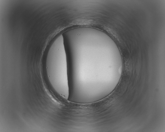 X0000074000682200608211414