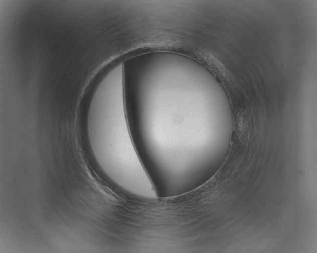 X0000074000684200608211414
