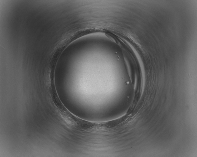 X0000074000685200608211414