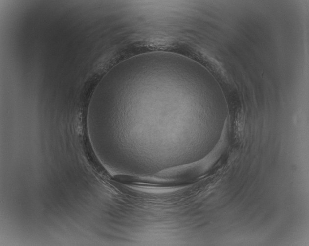 X0000074000689200608211414