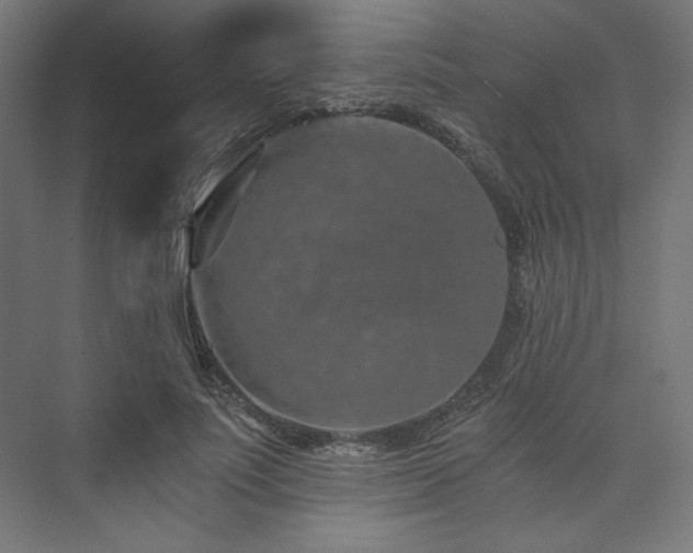 X0000074000691200608211414