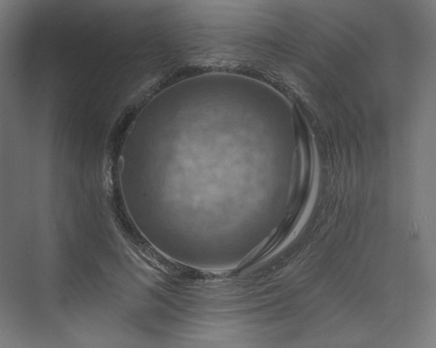 X0000074000692200608211414