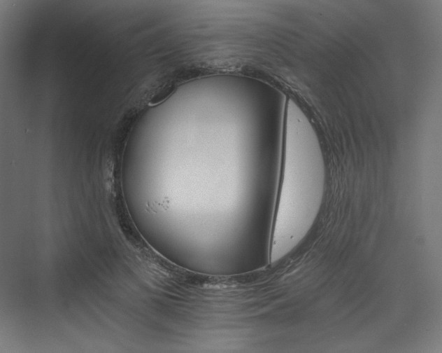 X0000074000693200608211414