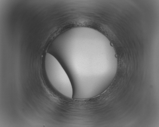 X0000074000694200608211414