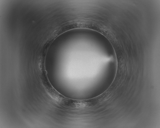 X0000074000698200608211414
