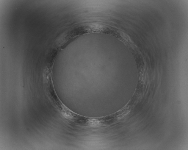 X0000074000701200608211414