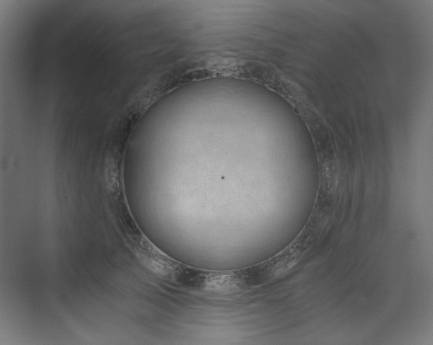 X0000074000705200608211414
