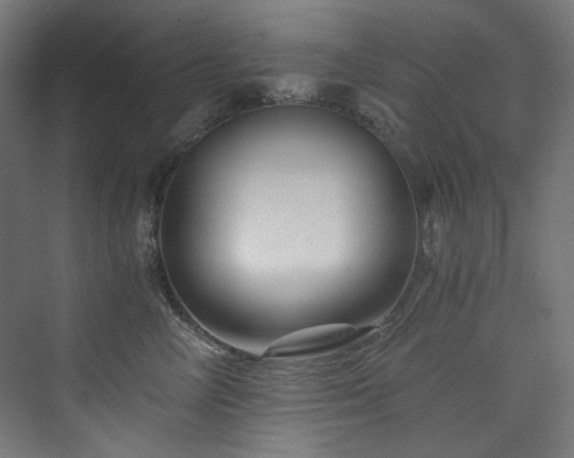 X0000074000714200608211414