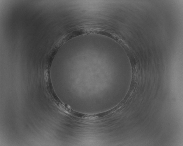 X0000074000716200608211414