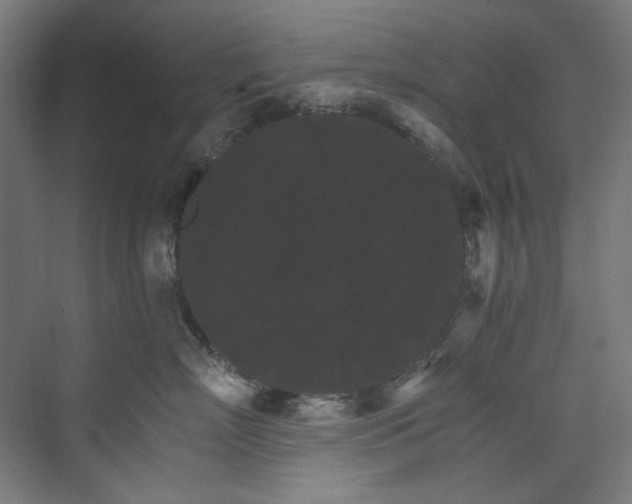 X0000074000718200608211414