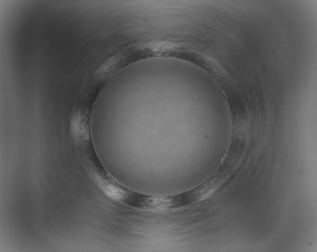 X0000074000719200608211414