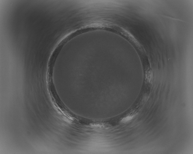X0000074000724200608211413