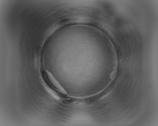 X0000074000725200608211413