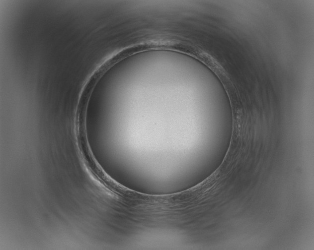 X0000074000726200608211413