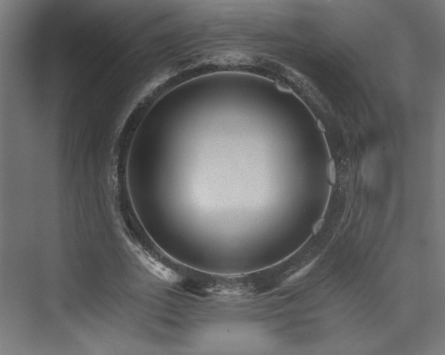X0000074000727200608211413