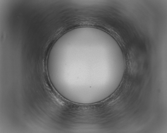 X0000074000729200608211413