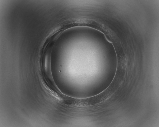 X0000074000731200608211413
