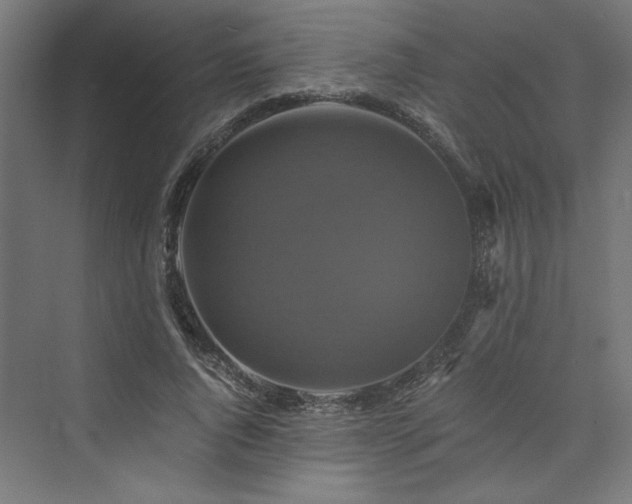 X0000074000736200608211413