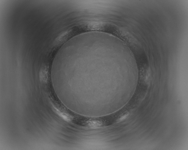 X0000074000741200608211413