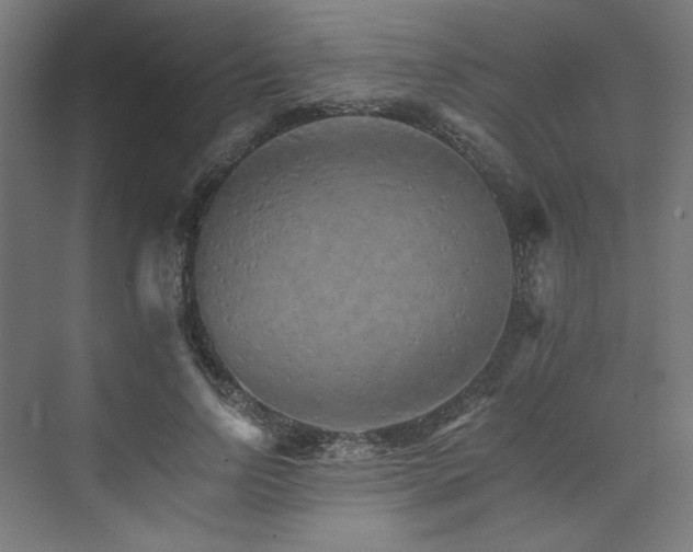 X0000074000742200608211413