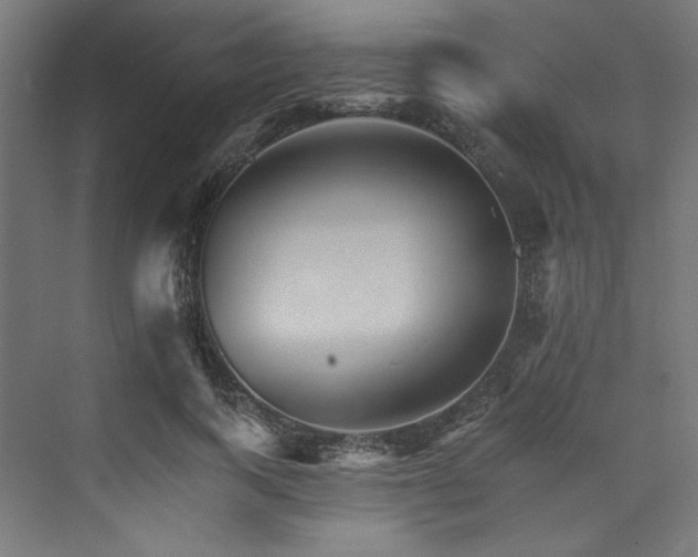 X0000074000743200608211413