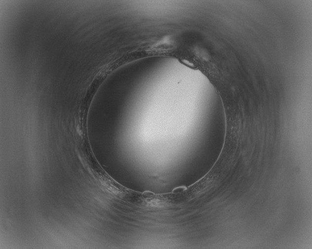 X0000074000755200608211413
