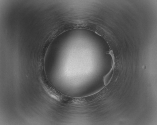 X0000074000756200608211413