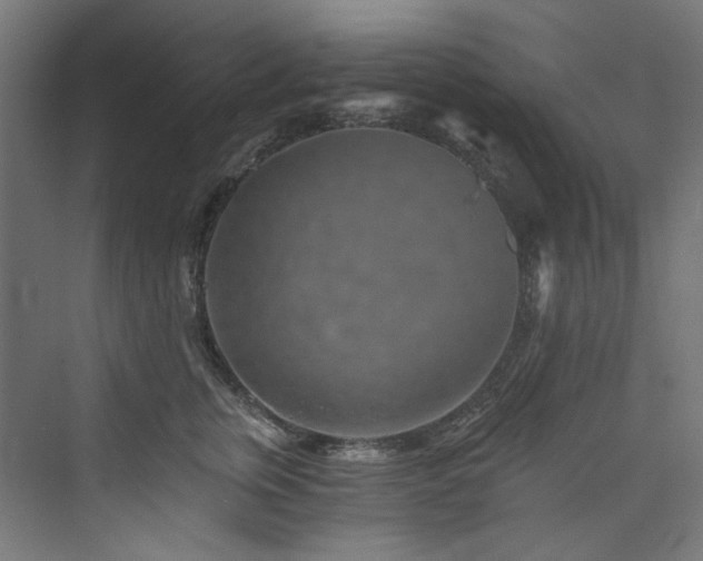 X0000074000759200608211413