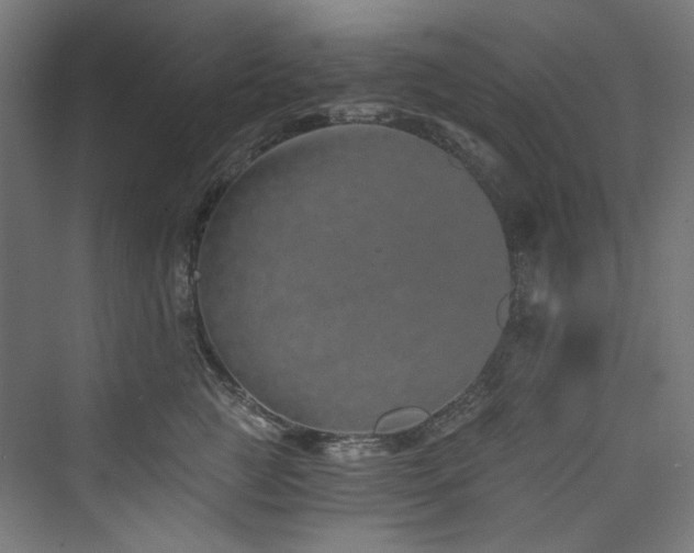 X0000074000761200608211414