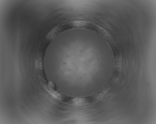 X0000074000762200608211414