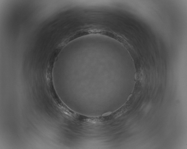 X0000074000763200608211414