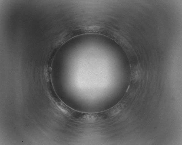 X0000074000764200608211414