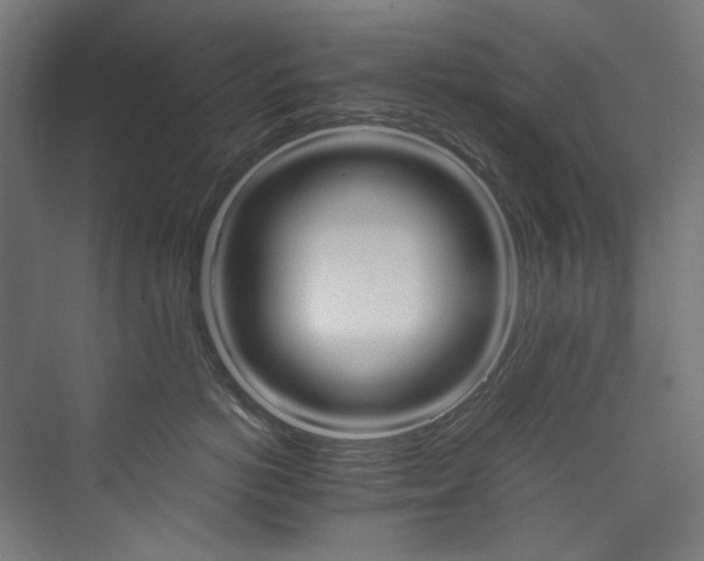 X0000074000766200608211414