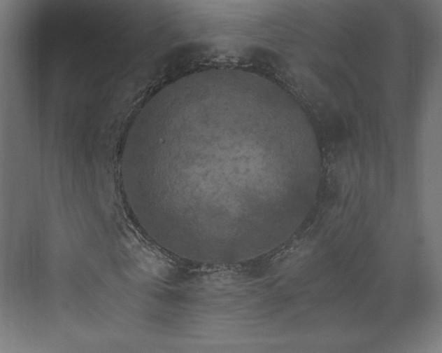 X0000074000769200608211413