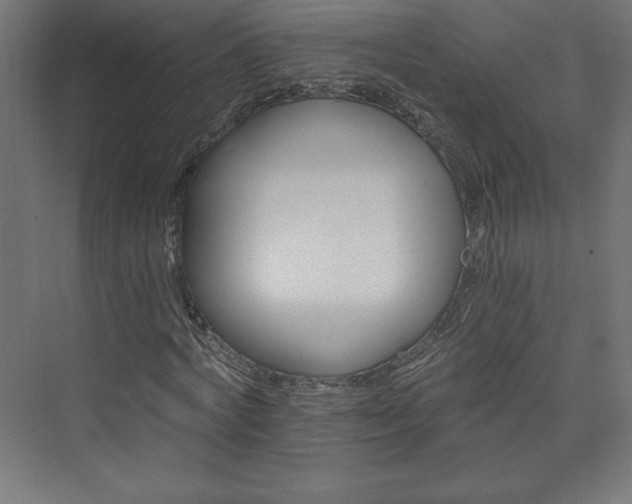 X0000074000772200608211413