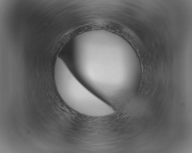 X0000074000773200608211413