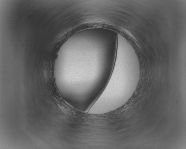 X0000074000775200608211413