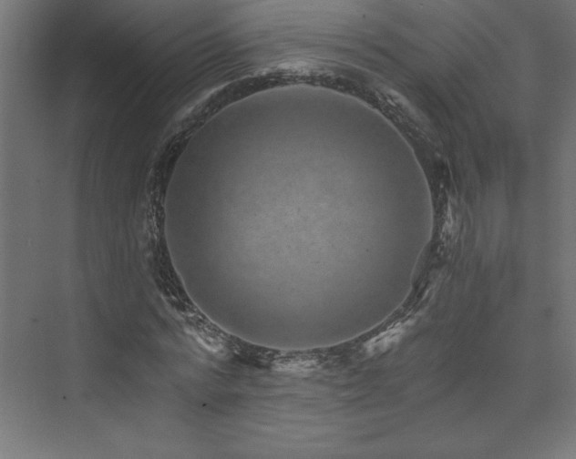 X0000074000776200608211413